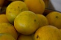 Oranges in piles picked from trees close up