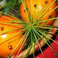 Oranges with pine leaves and cloves Royalty Free Stock Photo