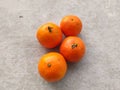 oranges placed on a white board