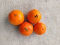 oranges placed on a white board