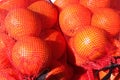 Oranges sacked ready to sell Royalty Free Stock Photo