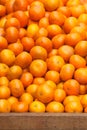 Oranges Sale Royalty Free Stock Photo