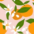 Blossoming of oranges. Citrus tropical fruits on a pink background with green leaves create a cute seamless pattern