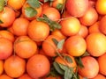 Oranges are shown in this picture Royalty Free Stock Photo