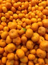 Oranges Royalty Free Stock Photo