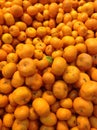 Oranges