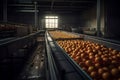Oranges on the sorting line. Generative AI.