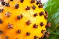 Oranges studded with cloves