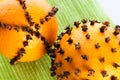 Oranges studded with cloves