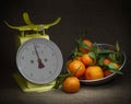 Oranges, tangerines on scales on rustic hessian. Dark, chiaroscuro style still life. Vintage theme. Royalty Free Stock Photo