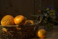 Oranges and tangerines still life Royalty Free Stock Photo