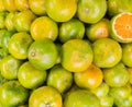 Oranges in Thailand market Royalty Free Stock Photo