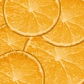 Oranges - vector background