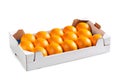 Oranges in White Cardboard Box Ã¢â¬â Smooth Navel Oranges Arranged, Ordered in Fruit Market Carton Box