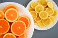 oranges and yellow lemons on a plate on a sunny day Royalty Free Stock Photo