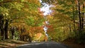 Family outing on a beautiful country road with autumn leaf colour