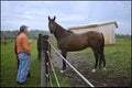 Leisure lifestyle of visiting a horse farm