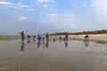 Group of children collecting cockles and playing at the beach in the island of Orango at sunset.