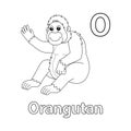 Orangutan Alphabet ABC Isolated Coloring Page O