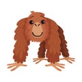 Orangutan Ape as Arboreal African Animal Vector Illustration