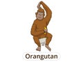 Orangutan cartoon vector illustration