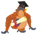 Orangutan and education