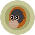 Orangutan Head Icon