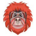 Orangutan head Logo. Monkey Vector decorative emblem illustration. Royalty Free Stock Photo