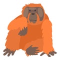 Orangutan icon, cartoon style