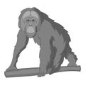 Orangutan icon monochrome