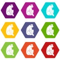 Orangutan icon set color hexahedron