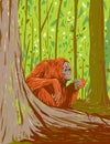 Orangutan in Kutai National Park East Kalimantan Indonesian Borneo Art Deco WPA Poster Art