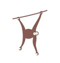 Orangutan logo. Monkey. Isolated orangutan on white background