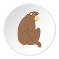 Orangutan monkey icon circle