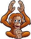 Orangutan Safari Animals Cartoon Character