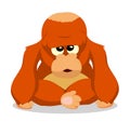 Orangutans so cute Royalty Free Stock Photo