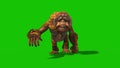 Orangutans Walkcycle Front Green Screen Monkey Animals 3D Rendering Animation