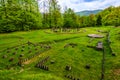Ancient ruins at Sarmizegetusa Regia, Transylvania, Romania