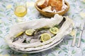 Black sea bream wrapped in paper and baked, Italian cuisine