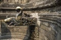 Orate Tap, Snake Pond at the Royal Palace, Bhaktapur, Nepal Royalty Free Stock Photo