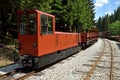 Orava Forest Railway, Upper Orava, Slovakia