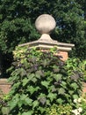 Orb Architectural on top of brick column concrete covered with Ivy. Royalty Free Stock Photo