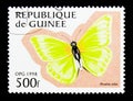 Orbed Sulphur (Phoebis orbis), Butterflies serie, circa 1998 Royalty Free Stock Photo
