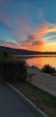 Orbetello: invasion of spiders on the lagoon