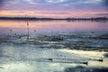 Orbetello lagoon