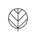 Orbicular leaf line icon. botanical and nature symbol. isolated vector image