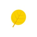 Orbicular maple leaf flat icon