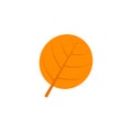 Orbicular maple leaf flat icon