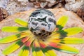 Orbicular Ocean Jasper sphere with crystallized vugs from Madagascar in the middle of a circle made of colorful feathers. Royalty Free Stock Photo