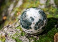 Orbicular ocean jasper sphere with crystallized vugs from Madagascar on moss, bryophyta and bark, rhytidome in forest Royalty Free Stock Photo